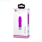 Sampson Bullet Vibrator